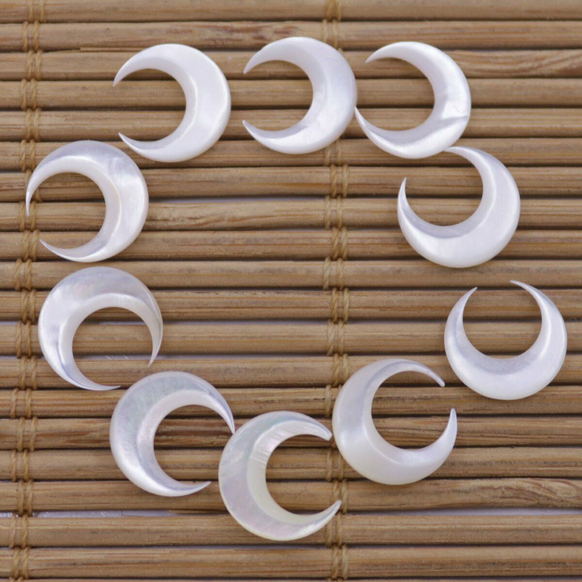 Nail Art Natural - 10 piezas de concha natural blanca